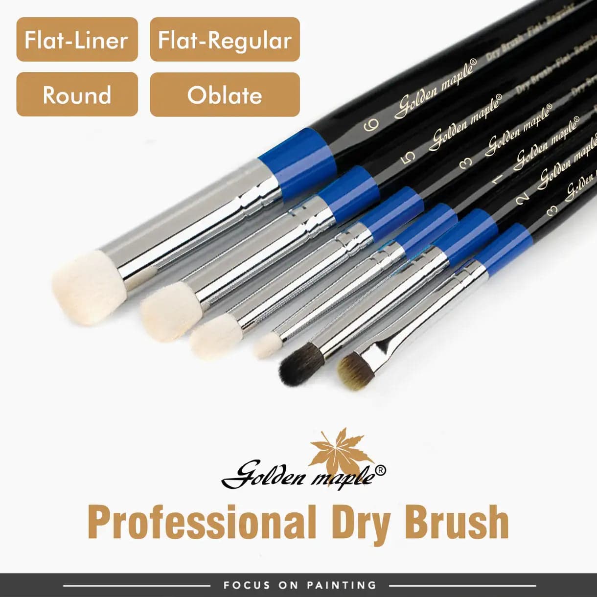 Professional Dry Brush Set - 6pcs